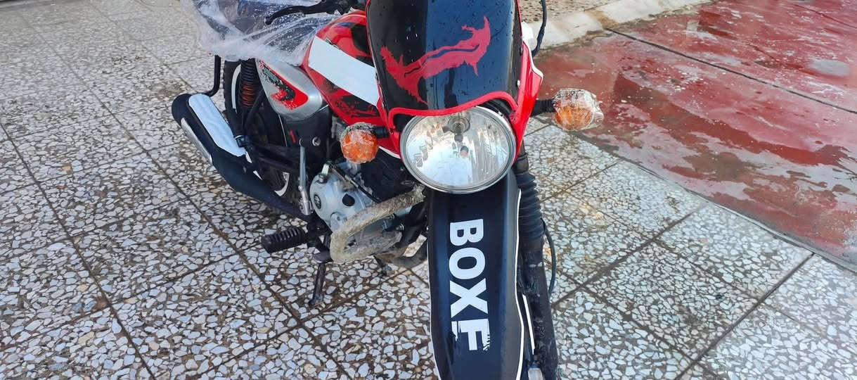 ألســـــلام عليڪم 
بوڪسر جبـلي مـوديل 23 نازل 2025/4 ثـانـي تبديـلت دهن ألـة بعـدة  جديد وأنحجز  
قبل 3 اشهر طلعت من الحجز وترقمت
مرقم بغداد لوحة وسنوية  نڪليزي مشروع وطني هزة جديدة تحويل ثاني يوم مكفول كفالة زيرو بمعنى الڪلمة ڪفالة عامة ماشية 3000  بعدهة شرڪة  مكان ديالى ألخالص
سعر اتصل وتدلـل 
***********
***********
