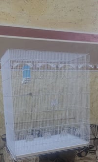 قفص ابو الطير • كبير • قفل