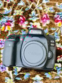 كانون 80d  شبه جديده شتره 10k  او عدسه رياضيه 75-300 دقته 24.2  تصوير ...