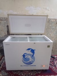 مجمدة • شغالة • حجم ١٦