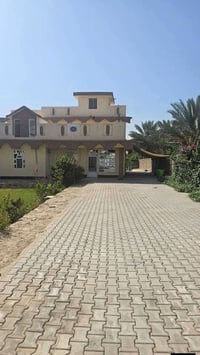 ٢٥ دونم • طابو زراعي • العباسية