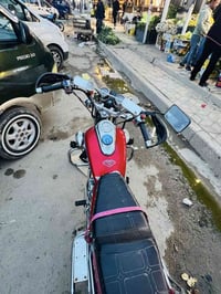 جونده 2025 مكفوله كفاله عامه اوراق اصولي سعر خاص مكلف بل نشر رقم 07812...