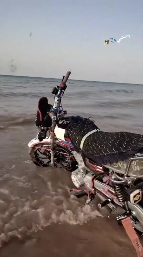 سلام عليكم شباب دراجه نامي برو هونزدة للبيع أو مراوس محرك دراجة 200 دراجه حلوة ونضيفة صار شهر بشارع شلعة معدل تشك الكاع مكاني ديالى حمرين السعر راسلني وبيك خير ودلل واليكسر بيها يسمع كلام مو حلو وتحياتي الكم


**إذا كنت صاحب هذا الإعلان وتريد حذفه لأي سبب، رجاءا أرسل رسالة إلى الدعم الفني**