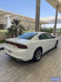 07810254872 ❄️ خط بغداد — ديوانية ❄️ 🚘 ذهاب فقط : 45 ألف 🔁 مرجع : 90 أ...