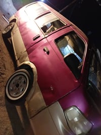 بريجو منغولي • بدون راعي • بصرة ابو الخصيب