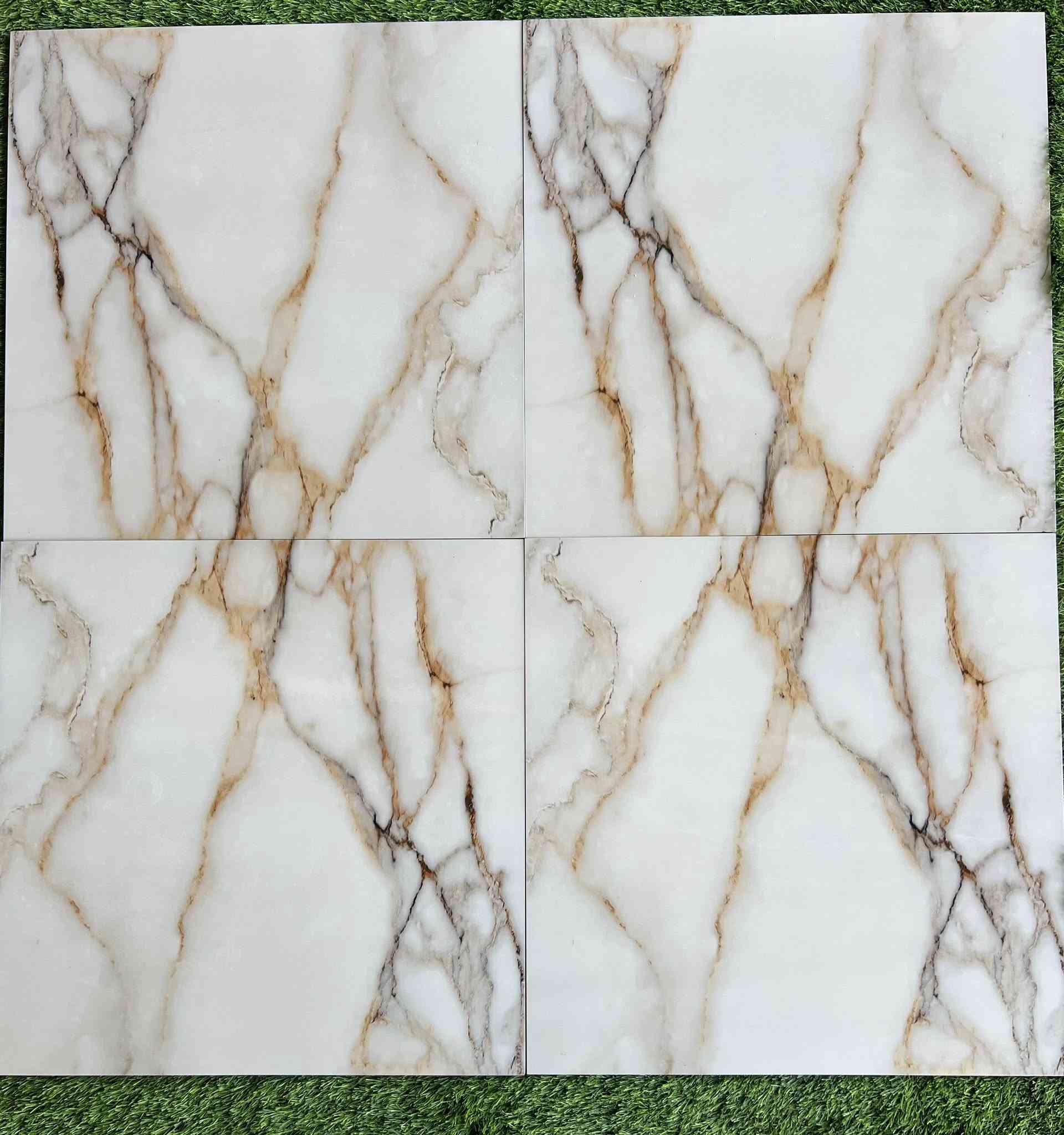 بورسلين 60/60سمك ثقيل
🌺🌸 أسعار جملة 🌸🌺
العنوان حي البتول قرب الجسر الفرنسي 
🥀*********** 🥀
