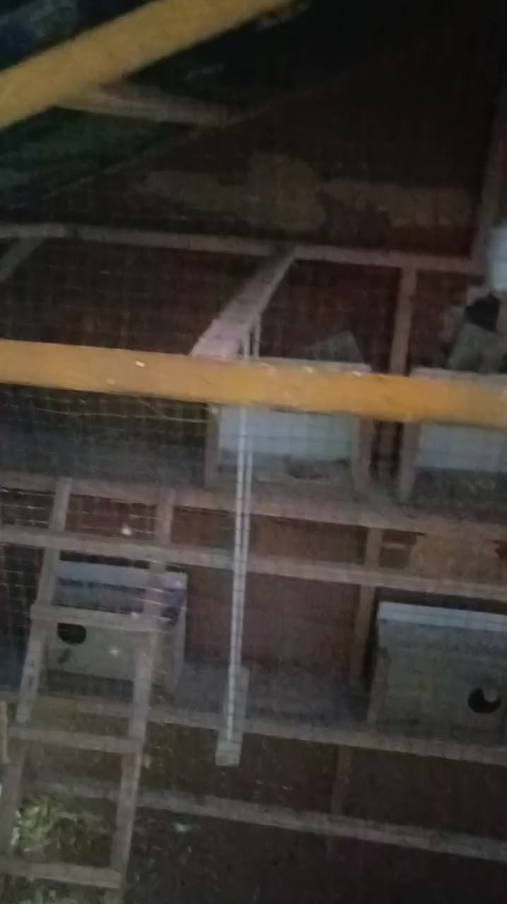 قفص للبيع السعر على خاص  أو اتصال ***********
