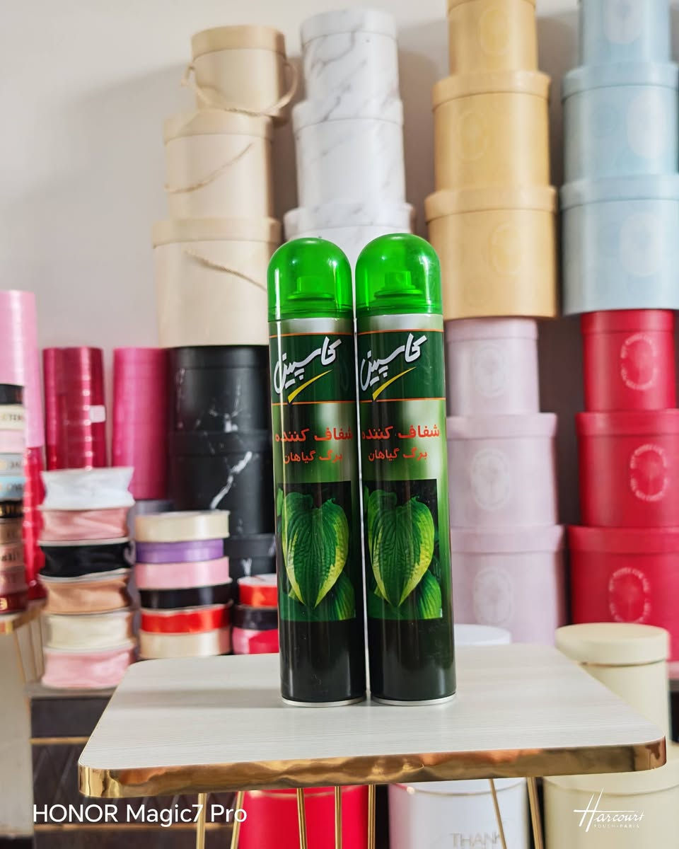 صفحة الفيسبوك
https://www.facebook.com/share/rXh8wephEUKuo1Zh/?mibextid=qi2Omg

صفحة الانستا 
https://www.instagram.com/giftboxes9797?igsh=aW1iNGdzaTB3Y2R3
صفحة تيك توك
https://www.tiktok.com/@giftboxes975?_t=8oTQr6bNkwi&_r=1

رقم واتساب ***********

معرف الحجز @h_u9797
