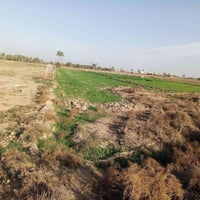 دونمين قرب مزرعة نخيل طابو زراعي سند ٢٥طابو واجهه 45 بسم شخص واحد بسعر...