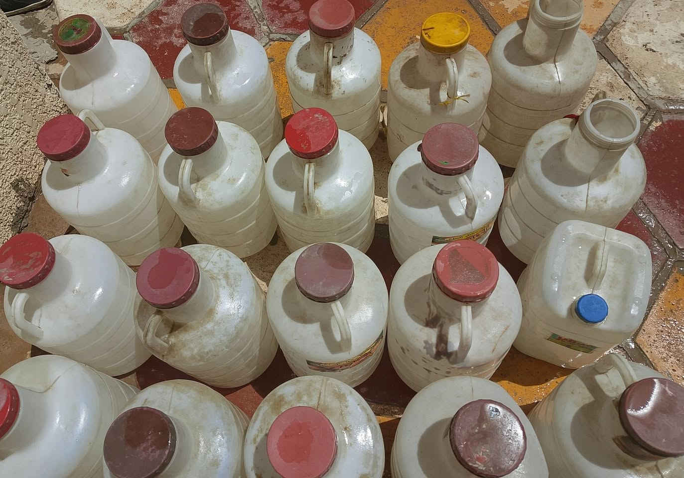 دبات مي سعر القطعة بـ ألف دينار واذا كلهن بيهن مجال التواصل على الرقم *********** كربلاء, العراق
