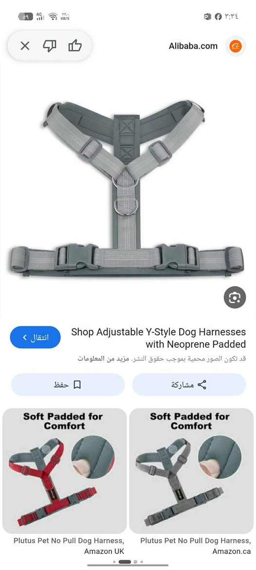 اي قطعه معروضه سعرها 5000 الوحده


**إذا كنت صاحب هذا الإعلان وتريد حذفه لأي سبب، رجاءا أرسل رسالة إلى الدعم الفني**