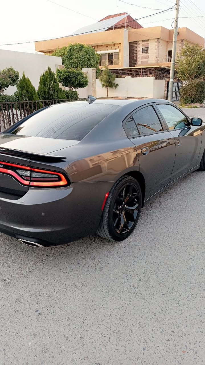 سياره كه دوو بارجه هه يه بونيت جاملغي لاي سه كن 
سياره كه بي ئيرباك بي شانصي 
هه موو ئيرباكه كاني سه ليمه هه تا ئيرباكي به رده ش سه ليمه 
سياره فحص و هه سه ي جائيزه ديناري مصروفي تيدا نيه سي مانك له كه ل بو ره قه م كردن ١٠روزه ره قه مي شكاوه أربيل, العراق


**إذا كنت صاحب هذا الإعلان وتريد حذفه لأي سبب، رجاءا أرسل رسالة إلى الدعم الفني**