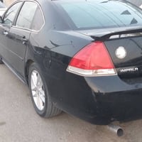 امبالا LTZ • ٢٠١٣ • رقم كربلاء