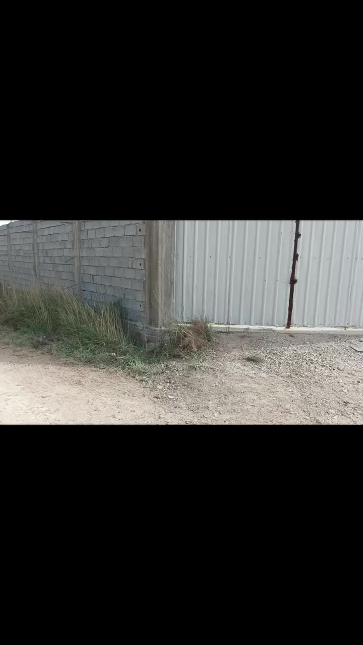 بسم الله الرحمن الرحيم
السلام عليكم ورحمة الله وبركاته 
يوجد لدينا بيت المساحه 1750 ملك صرف سند25
منطقه الجلاعطه الفحامه جزيره بغداد السياحيه 
تحويل باسم المشتري طابو الاعظميه السعر ع الخاص 
اخوكم محمد النداوي  رقم الهاتف   ***********
