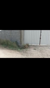 بسم الله الرحمن الرحيم السلام عليكم ورحمة الله وبركاته  يوجد لدينا بيت...