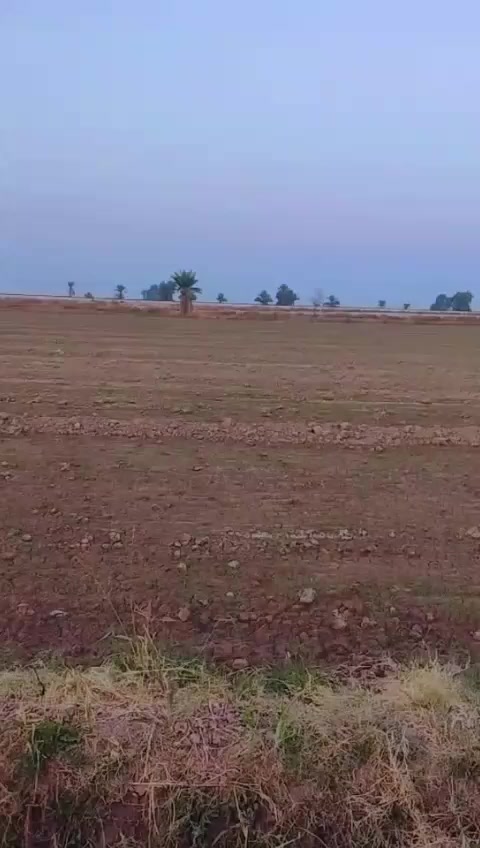 طابو حق التصرف من ضمن 10 دونم فقط بستان تحويل ثاني يوم مكفول من كلشي... السعر 150 وتتفاوض مع صاحب السند  خلف الجوهره في منطقه ارباكات واتساب
***********
