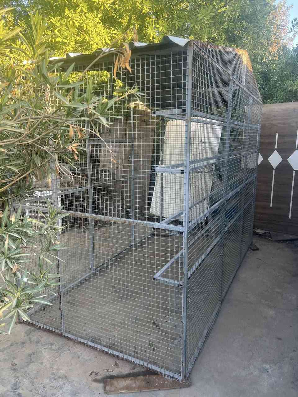 قفص للطيور ترهم محمية للطيور حجم كبير حديد ابعادها ٣ متر طول عرض متر ونص ارتفاع مترين ونص جمالي كلش نضيف السعر ٤٠٠ الف اذا مهتم عل خاص وتدلل


**إذا كنت صاحب هذا الإعلان وتريد حذفه لأي سبب، رجاءا أرسل رسالة إلى الدعم الفني**