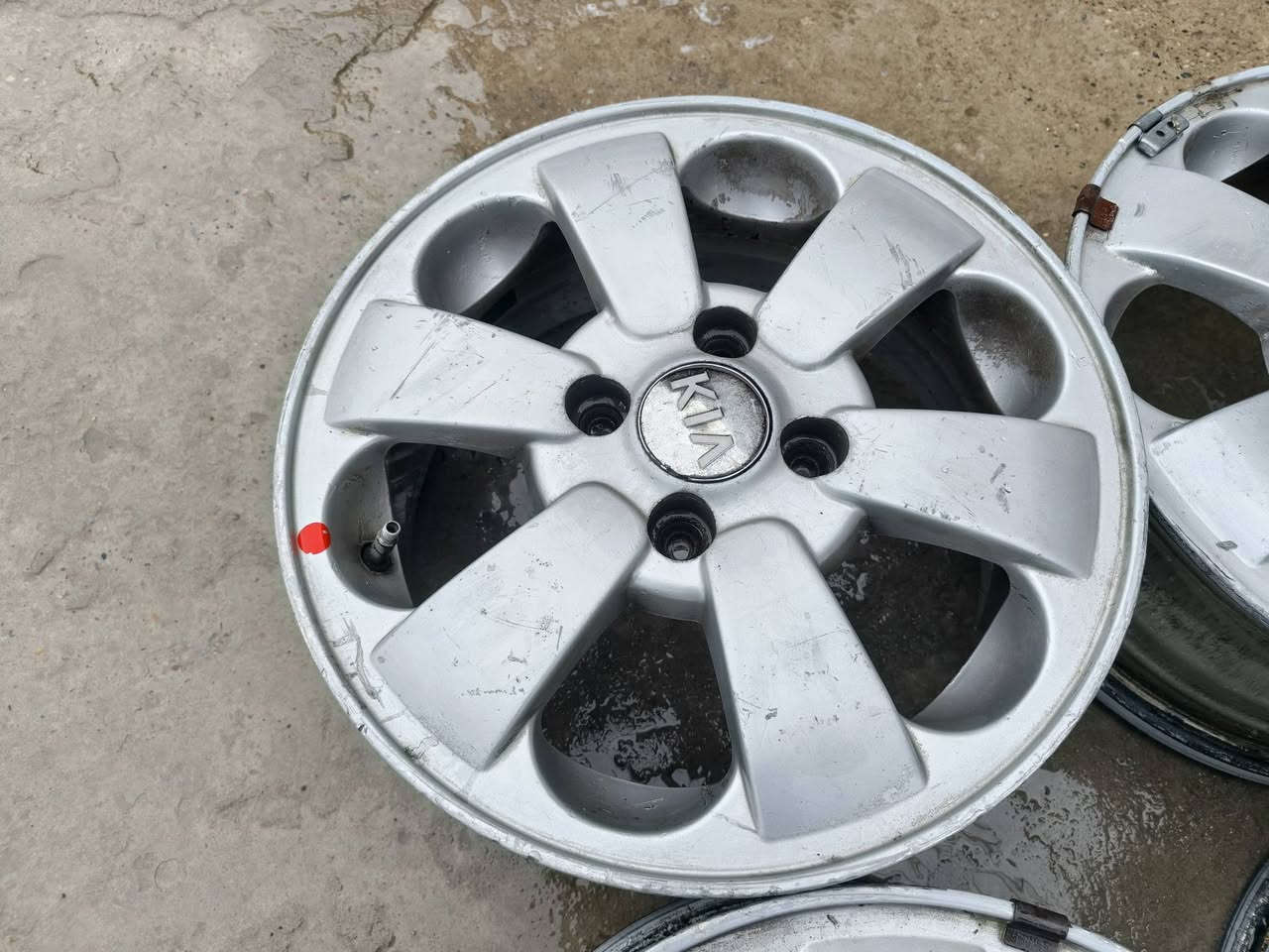 للبيع ماركيا ريو شرط لا فطر لا كسر اصلي الاستفسار خاص***********
