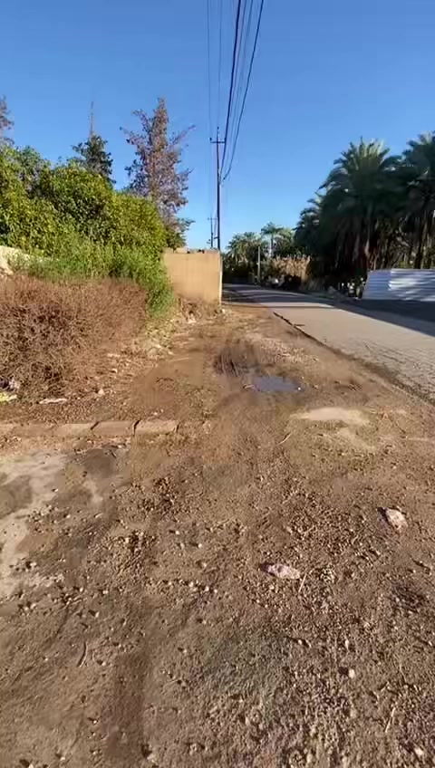 *********** وتتوفر ايضاً كافة العروض في الجزيرة السياحية وكميرة
