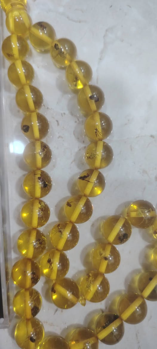 سبح عدد اثنين للبيع وحده حشري والثانيه نارجين عمارة, ميسان


**إذا كنت صاحب هذا الإعلان وتريد حذفه لأي سبب، رجاءا أرسل رسالة إلى الدعم الفني**