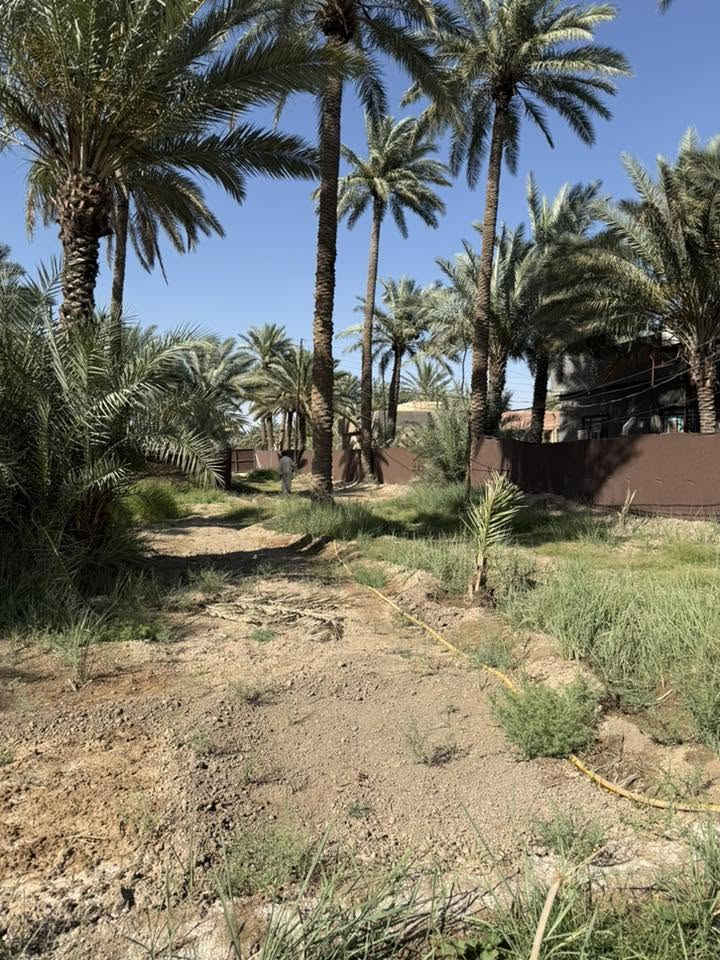متوفر دونم واحد 1 طابو زراعي سند 25 بسم شخص واحد  /حله الوردية منطقه البونافع
ماء سقي 
ماء اساله 
ماء بير 
يحتوي على عدد من النخيل 
ومسيج بي ارسي
كافة الخدمات متوفرة. 
يبعد عن الشارع 400م
للاستفسار ‭0783 863 5978‬
