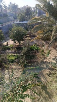 بيت للبيع • حديقة كبيرة • عدي الساعدي