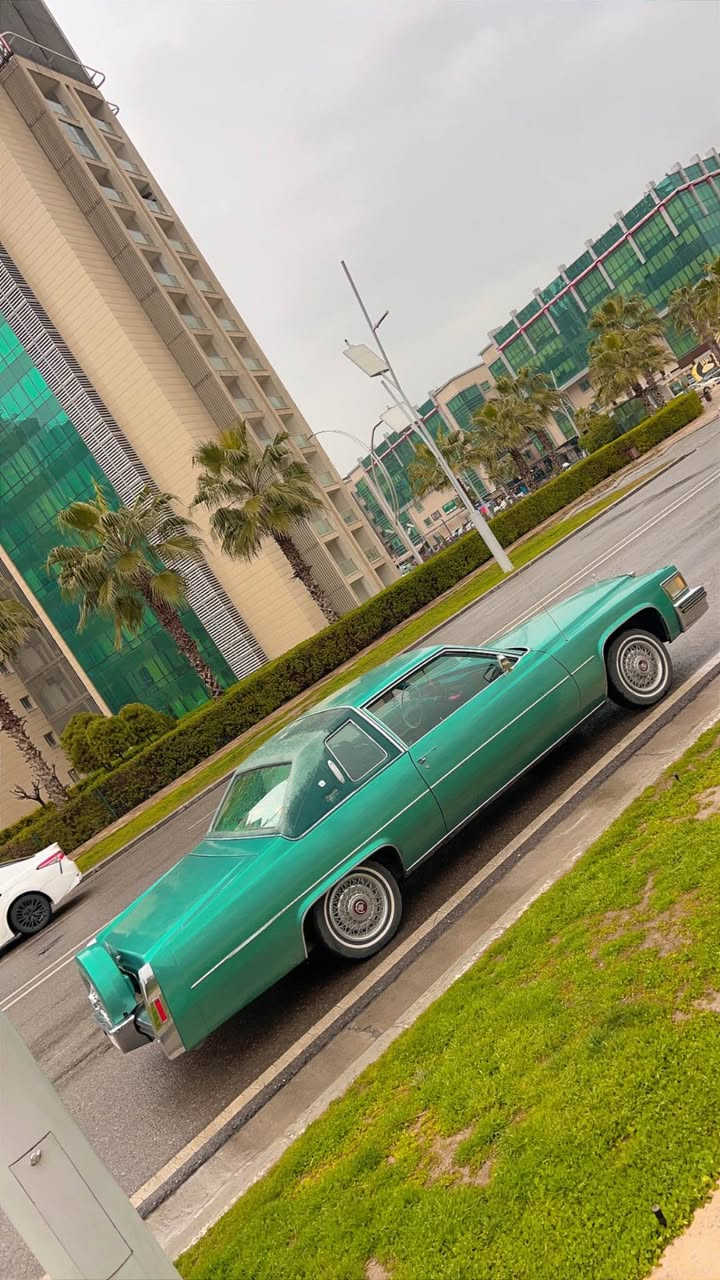 Cadilac cope devile 1979 V8 
سياره كل شي بيلادي مكينه كير بيلادي كل شي اشتغل مو نقس 
سعر ١٣٥ بي مجال سياره ترقيم اربيل 
*********** أربيل, العراق

