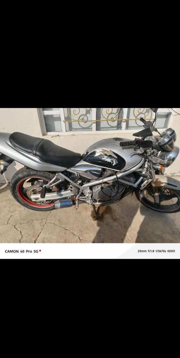 سلام عليكم بطح اللبيع عطلو بس كبريتات ويرهم مراوس ابي موطور   400  وبي مجال ‏‪***********‬‏ انتصل
