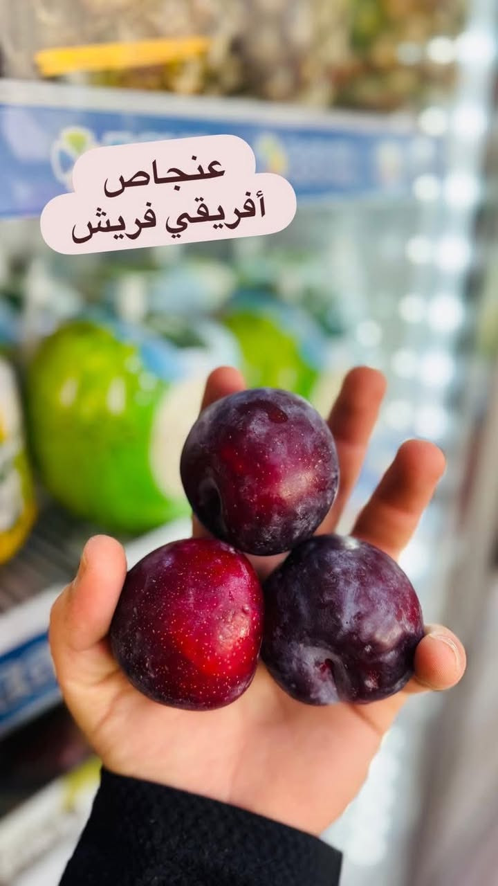 اللهم صل على محمد وال محمد  
 
أسعار المخضر والفواكة بتاريخ23/6/2026
المصادف يوم الخميس 

زنجبيل 5000
افوكادو 6000
عرموط 3000
عرموط عراقي صيفي 2000
فراولة العلبة 2000 
بروكلي 4000
رمان أفريقي درجة اولى 4000
 خس ايراني 1000
خس صيني وأمريكي 1500
بأكلة مفلسة 3000
بزاليا مفلسة 4000
بطاطا حمراء 1000
بطاطا 750
باذنجان اسود 750
طماطة 500
خيار 750
لوبيا 2000
بانية 2000
ركي 500
بطيخ 750
بطيخ جنة سوري 1000
كرز كيلو 5000
شمام 1000
بصل اخضر 1500
بصل 750
كيوي كيلوات 3000
كيوي مزدوج كيلو 2000
كيوي علبة ب 1000
منجا 5000
الو عراقي كيلو 
خوخ صوفي ومسكي 2000
خوخ كعكي صوفي و مسكي 2000
الو احمر جوهرة 2000
لنك الدنيا علبة 4000
عنب حلواني وابيض وزيتوني 4000
كوجه خضراء 6000
بيتنجان مكدوس 2000
ذرة حلوة جاهزة لأكل القطعة 1000
ذرة حلوة إيرانية كيلو 1500
شجر 1000
خيار عطروزي 1000
فلفل ألوان 3000
فلفل بارد1500
فلفل حلزوني 2000
فلفل حلزوني احمر عراقي 1000
فلفل حار ناعم 1500
برتقال مصري برتقال ابو الصرة 1500
لالنكي أفريقي 2000
حامض أفريقي 3000
كريب فوت 
موز 2000
تفاح إيراني احمر واصفر ب 1500
تفاح احمر وأخضر ب 2500
تفاح عراقي 1000
جزر 1000
فاصوليا خضراء 3000
مشمش إيراني عسل 3000
مشمش اردني 2500
مشمش سوري 2500
قرنابيط ب 1500
لهانة حمراء وبيضة 1000
شونذر عراقي 1000
خضروات الشمال / سبيناخ سلك / شبنت كرفس كراث ريحان / معدنوس نعناع جرجير بربين فجل احمر

📍 العنوان:
الصويرة شارع النجمة مجاور صيدلية الزعيم مقابيل ذوق

📞 للتواصل:
إبراهيم الشرطي 
***********
***********
محمد الشرطي  

‭***********
***********
 يوسف الشفت المسائي 
***********

✅ يتوفر واتساب ومراسلة الصفحة متواجد من الساعة سابعة صباحاً حتى ساعة ثانية عشر ليلاً 
اهلاً وسهلاً بيكم
