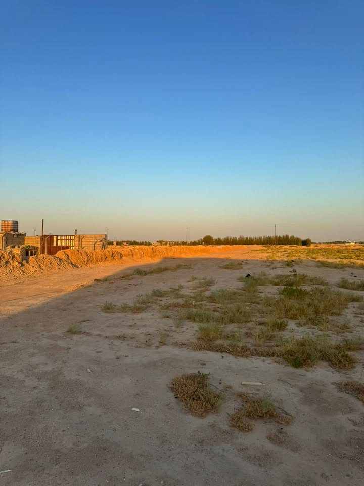 سلام عليكم مزرعه ب الزبير الدواجن ١٢دونم ع التبليط وي بيت كونكريت ورتواز بيها السعر ١٢٥وبيها مجال***********
