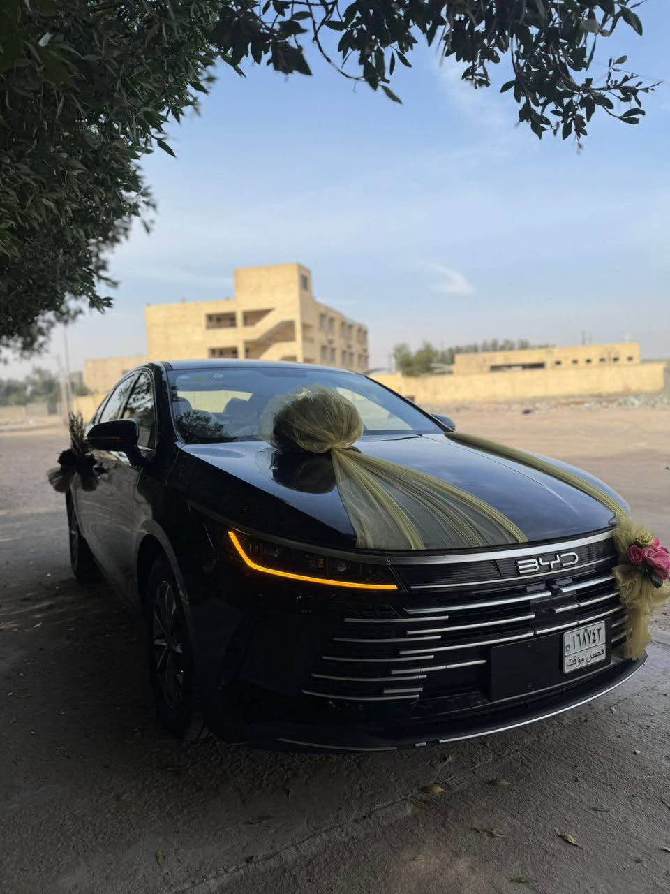 الســــــــــــلام علـــــــــــــــــــــــــيكم بي وايدي دسترويل 2025 بدون رقم تترقم بصره رقم مجاني ع دوله بس رسوم ورقتين سياره جديده ماشيه 2500 كفاله من زلغ لون اسود داخل ملكي ابيض 126 مكاني بصره
الشراي يتصل او وتساب لاتراسلني وتكلي شبيها ثواب الاهلك *********** البصرة, العراق
