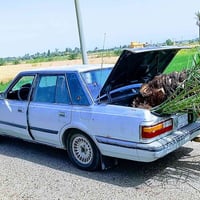موديل ٨٥ • رقم نينوه