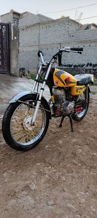 كوم حديد • تمشي مال مخابيل • أوراقه ضايعه