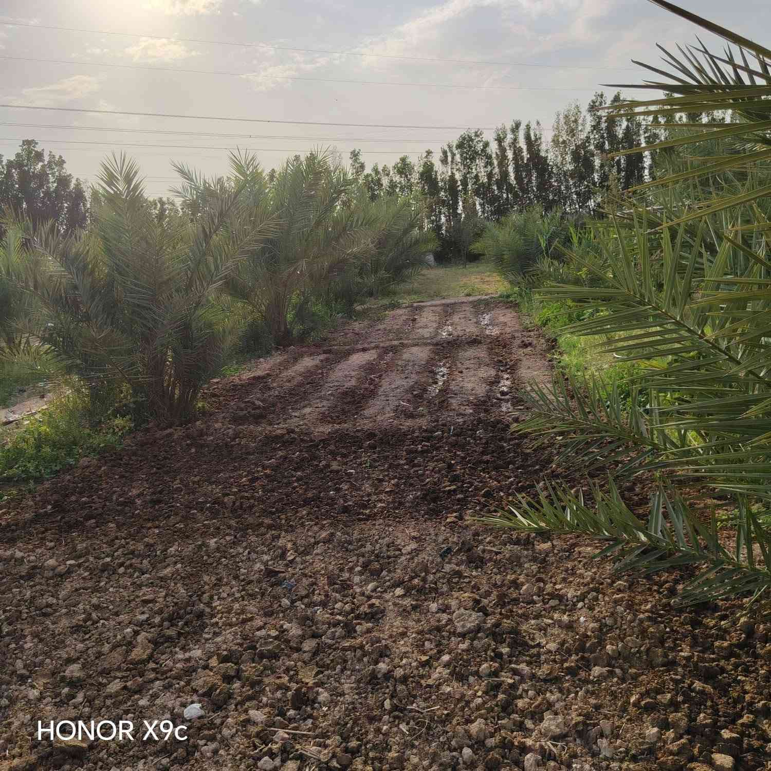 سلام عليكم  تلث دوانم لبيع طابو زراعي سند خمسه وعشرين لجبه ١٥٦ ونزال ٤٨ مكانهن ناحيت الوحده الخالصه بيه مي اساله ومي سكي وكهربا وتبليط لباب تبعد عن شارع العام ثنين كيلو سعر لدونم لواحد ٨٥ وبي مجال وهاذ رقمي ***********
