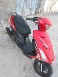 شغاله • مجال قليل