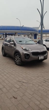 ٢٠١٩ • وارد امريكي • ضرر خلفي