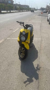 سكنس فحل • مكفوله • النعمانية