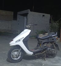 فراشه • شغاله • لايت وشوته