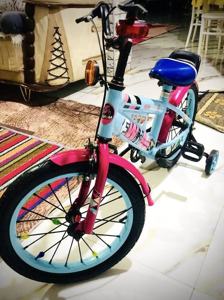 بيسكلات اثنين للبيع (بحالة ممتازة ونظافة عالية) 🚲
الاسود حجم 20 سعره 65  وبي مجال 

والسمائي حجم 16 سعره 45 وب مجال 

للتواصل والاستفسار ***********

