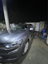 رينو كوليوس • ٢٠١٩ • بدون دهن