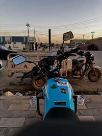 شاينك • ٢٠٢٦ • اوراق اصولي