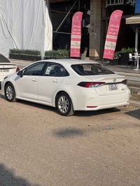 كورلا هايبرد • ٢٠٢٥ • مرقم بغداد