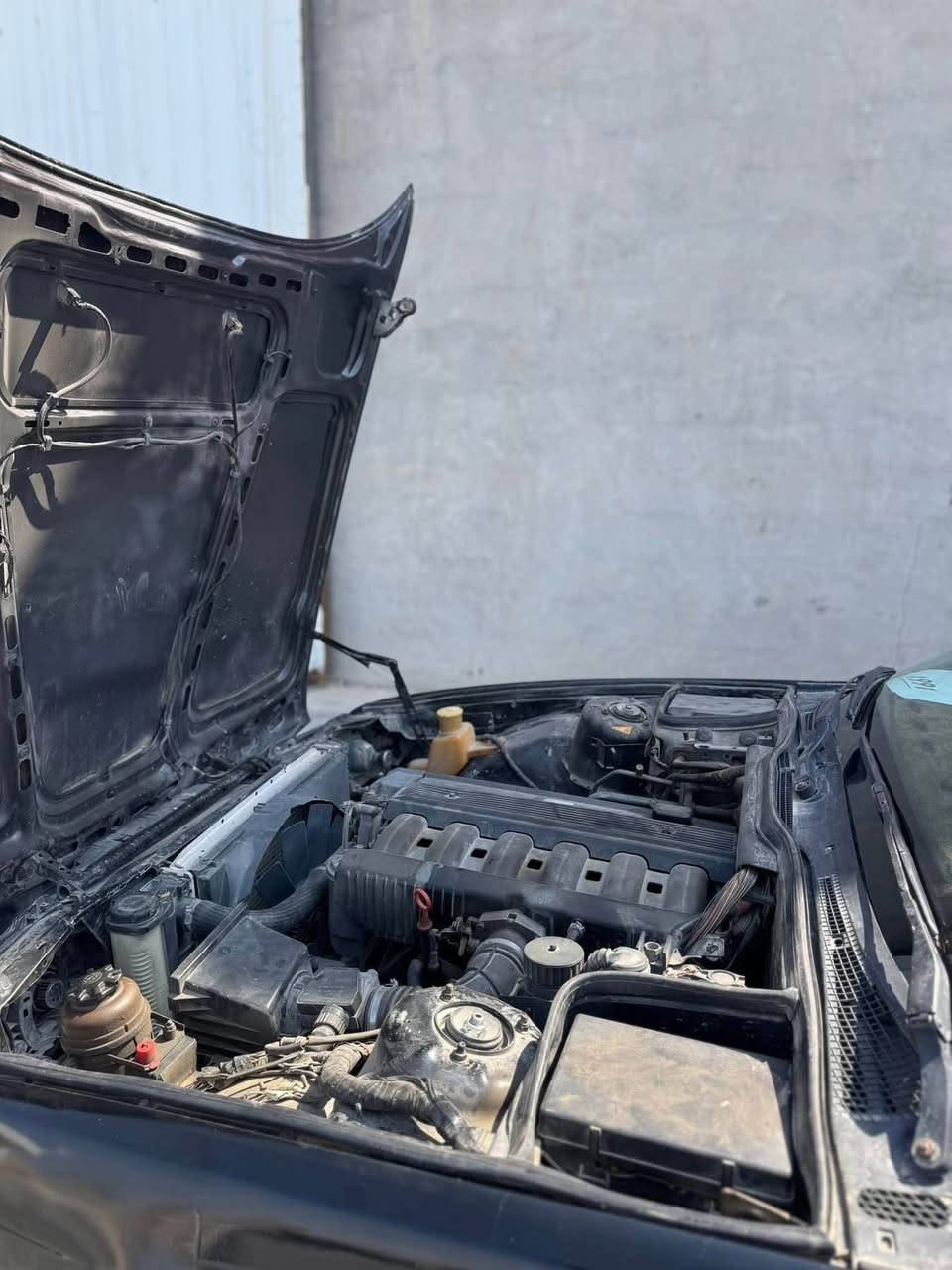 Bmw520i
مۆدێل1991
مەکینە گێر ئەکسل بەشەرت
سەرف بوخار سەوت بەشەرت
دوو جام کارەبا
سلایت
4تایەی تازە
تەقەورەقەی بەشەرت چرکەی نیە
زەربەی نیە عامە بۆ جوانی
گەرمی فلجە 
گێچەکانی هەموو ئیش ئەکات
مەسرفی چاکم لێی کردووە
بێ مەسرفە بەنزین ناخوات
رۆن و فلتەر و هەموویم گۆریوە
مالی ئەم نەورۆز و جەژنەیە
واجیهە و پاکانەی لەگەلە 
بەشەرتی ئەوەی مالی کەس نەبێت 
سعري27وەرەقە و مەجالێکی زۆرکەم
شوێن کەلار***********
گۆرینەوەش ئەکەم لەسەر دل گرتن كالار, السليمانية
