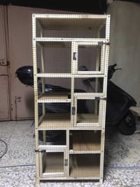 قفص ٣خانات • ١م٤٥ ارتفاع • كربلاء الانتفاضه الثانيه