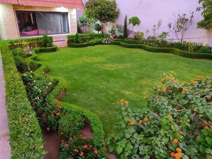 كافه الحداقه اشتغل***********
