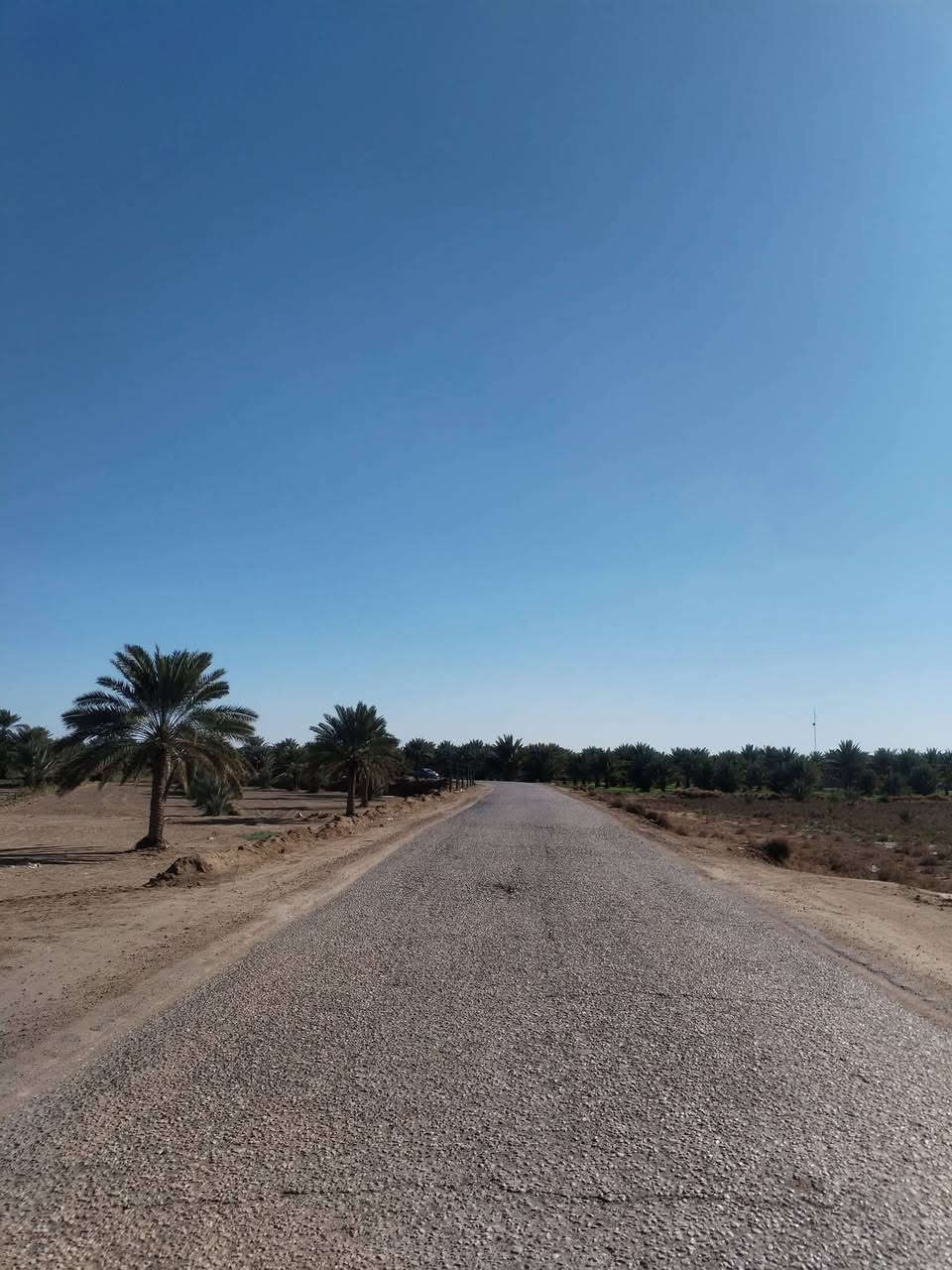 دوانم للبيع طابو صرف بسمي مكان راقي
تبليط كهرباء ماء سقي ماء اساله كله متوفر بل ارض 

الموقع خلف جامعه بابل نزلت الامام بكر ابن علي قرب مقام نبي الله ابراهيم الخليل الموقع الثاني قرب تقاطع شريفه عله بزل حجي علي طريق عوفي يبعد عن التبليط 250متر مكان راقي وسكني مدارس ابتدائية ومتوسطة  واعداديه خدمات كماله 

***********ابو محمد
