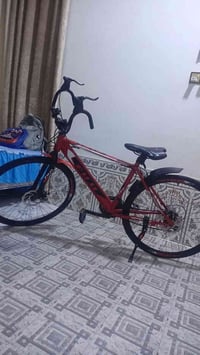 باسكل سباق البيع 07713165219