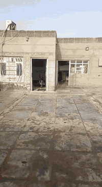 للبيع
بيت زراعي مقدم معامله تطويب 
البناء بلوك عكاده 
غرفه صاله مطبخ براني 
المساحه ٣٠٠ متر
وجه ١٥ م نزال ٢٠ م
الموقع حي العسكري قريب الحولي قريب ستاذ رزاق 
متوفر كافه الخدمات
ماء كهرباء مولد ضوئي مجاري 
السعر مناسب
للاستفسار
***********
***********واتس 
او مراجعه المكتب مكتب احمد النبهاني / عبدالله
