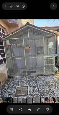 محمية • محمية تفصال • محمية للبيع • محمية بغداد • محمية منزلية • محمية...
