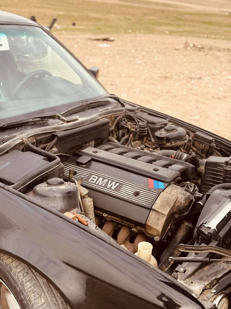 ***********
1993
525
